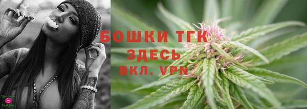 ешки Белокуриха