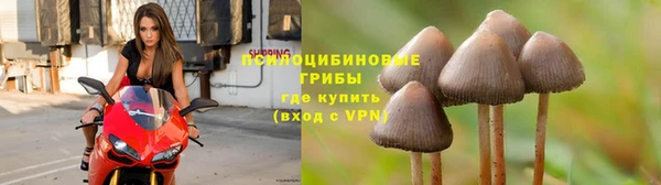 ешки Белокуриха