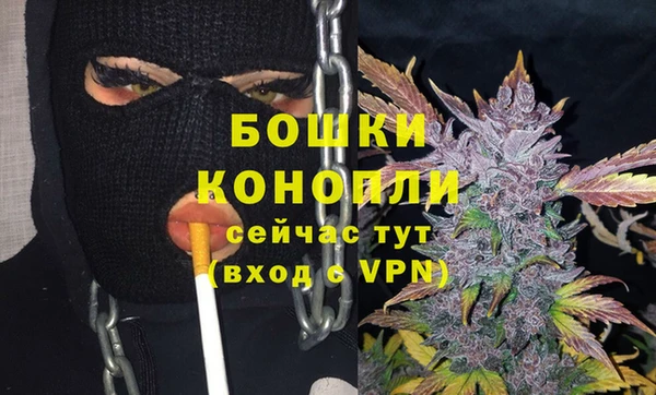 ешки Белокуриха