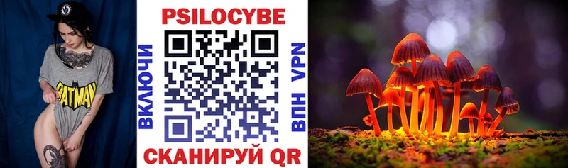 Купить закладки  Краснослободск  Псилоцибиновые грибы MAGIC MUSHROOMS 