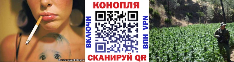 Марихуана конопля  Купить где  Краснослободск 